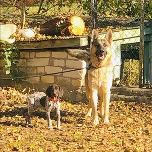 Meet your Posher, Nick